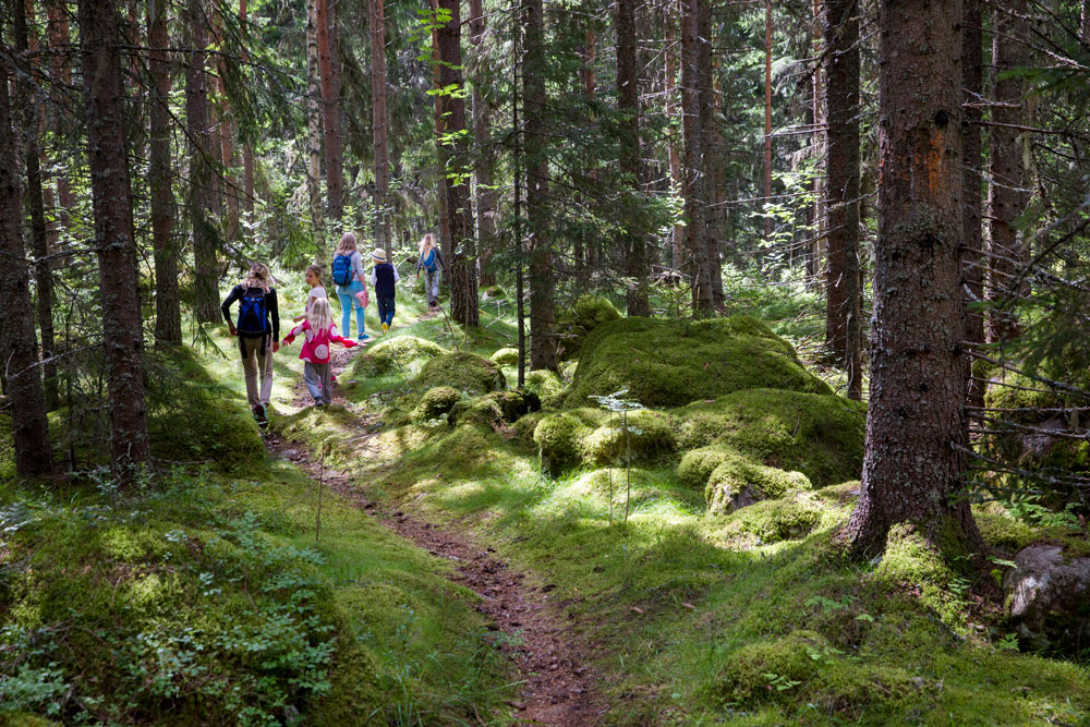 En skolklass är ute i skogen efter Maltes stig